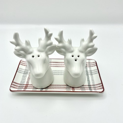 Reindeer shaker set salt - pc,